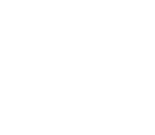 Social Itro Team